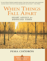 when-things-fall-apart (2).pdf